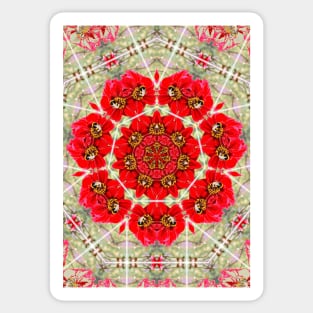 Beautiful Red Rose Flower Mandala Sticker